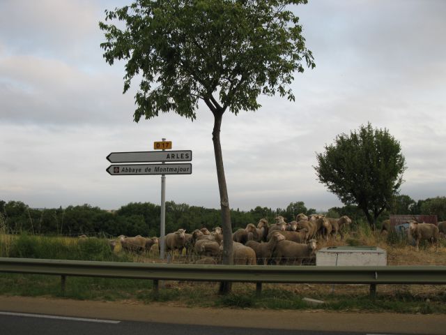 OD CELJA DO ATLANTIKA - FRANCIJA 5 - foto