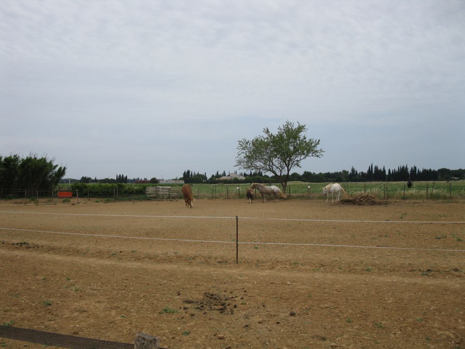 OD CELJA DO ATLANTIKA - FRANCIJA 6 - foto povečava