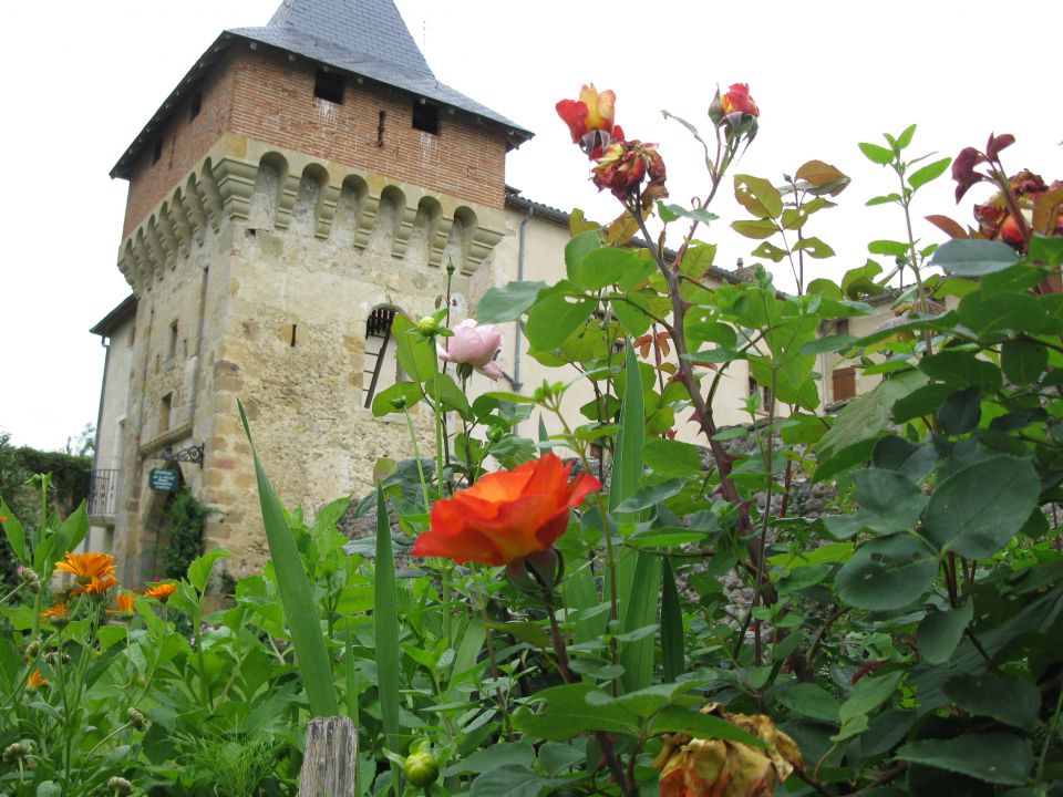 OD CELJA DO ATLANTIKA - FRANCIJA 9 - foto povečava