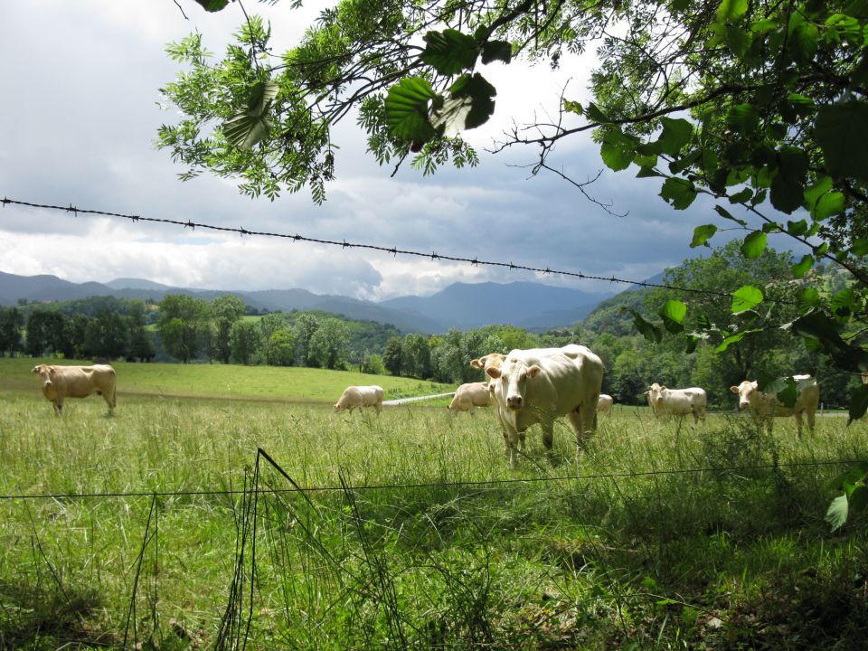 OD CELJA DO ATLANTIKA - FRANCIJA 9 - foto povečava