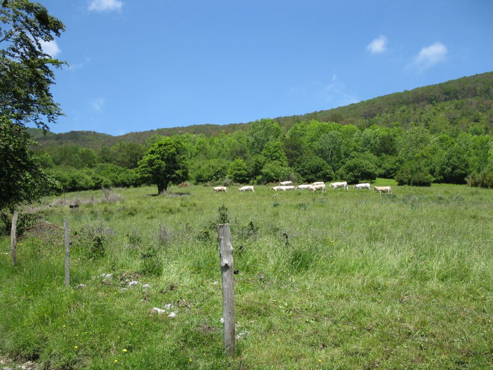 OD CELJA DO ATLANTIKA - FRANCIJA 11 - foto povečava