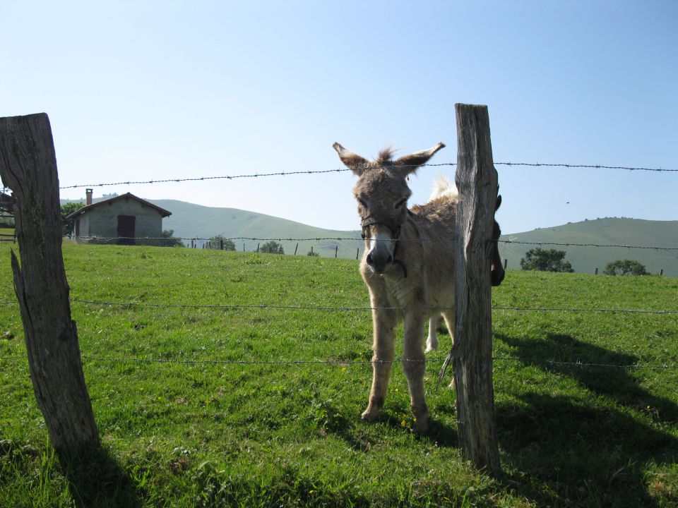 OD CELJA DO ATLANTIKA - FRANCIJA 17 - foto povečava