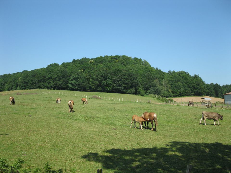 OD CELJA DO ATLANTIKA - FRANCIJA 17 - foto povečava