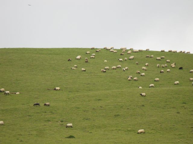 OD CELJA DO ATLANTIKA ŠPANIJA - CAMINO 1 - foto