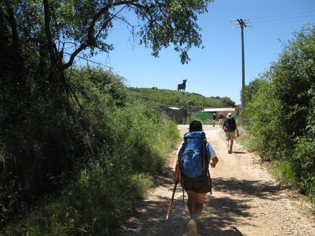 OD CELJA DO ATLANTIKA - ŠPANIJA - CAMINO 5 - foto