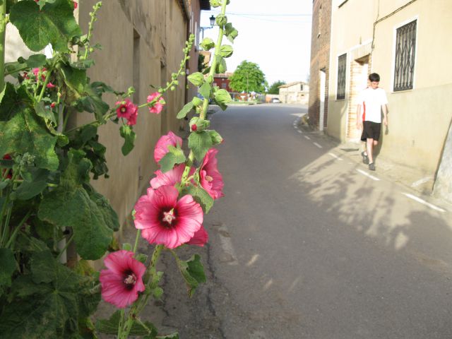 OD CELJA DO ATLANTIKA - ŠPANIJA - CAMINO 6 - foto