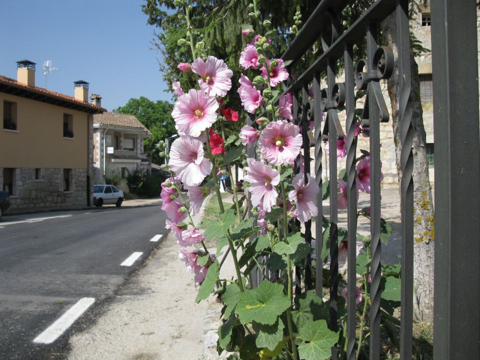 OD CELJA DO ATLANTIKA - ŠPANIJA - CAMINO 7 - foto povečava