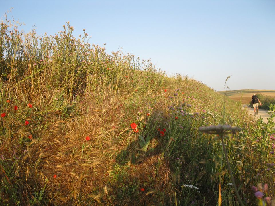 OD CELJA DO ATLANTIKA - ŠPANIJA - CAMINO 7 - foto povečava