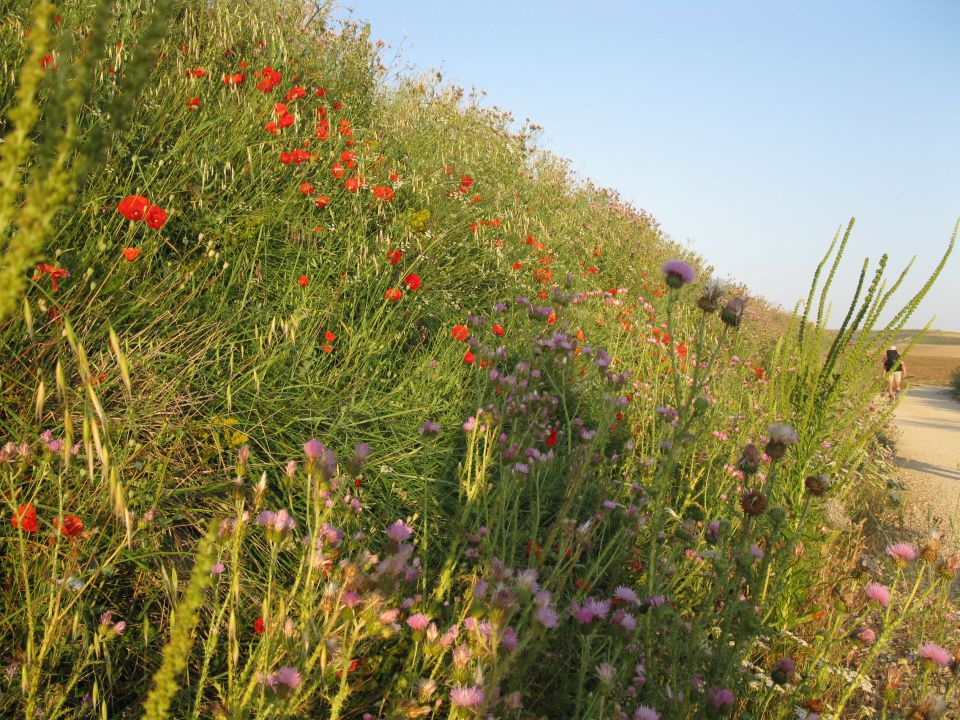 OD CELJA DO ATLANTIKA - ŠPANIJA - CAMINO 7 - foto povečava