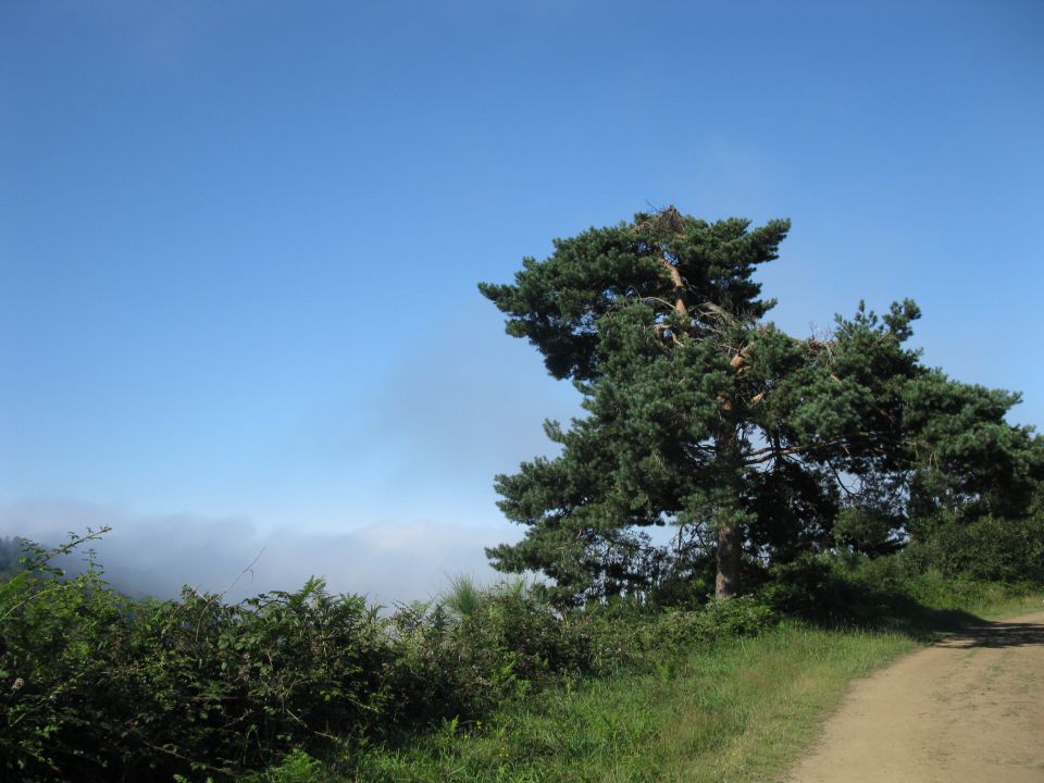 OD CELJA DO ATLANTIKA - ŠPANIJA - CAMINO 13 - foto povečava