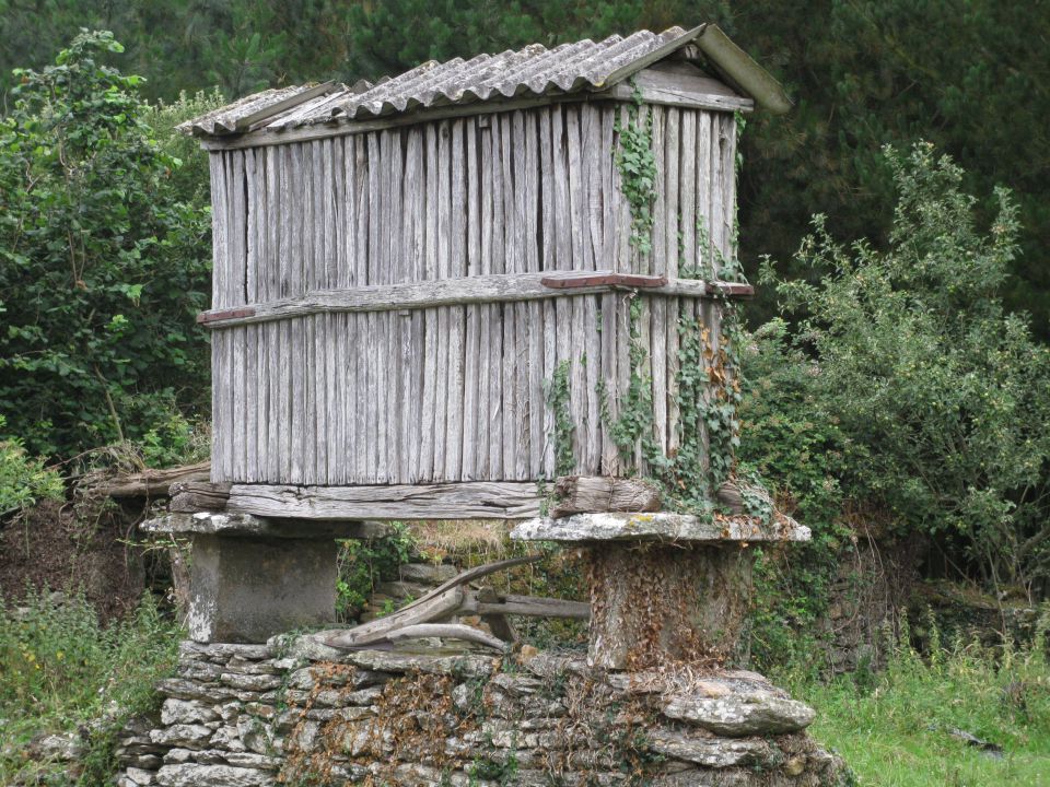 OD CELJA DO ATLANTIKA - ŠPANIJA - CAMINO 13 - foto povečava