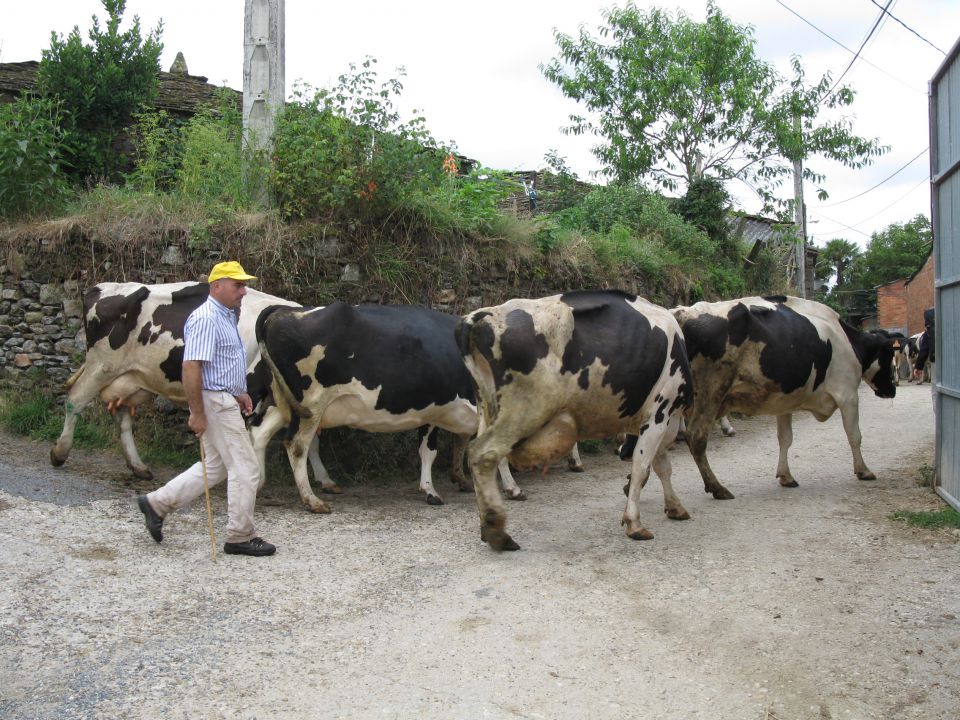 OD CELJA DO ATLANTIKA - ŠPANIJA - CAMINO 13 - foto povečava