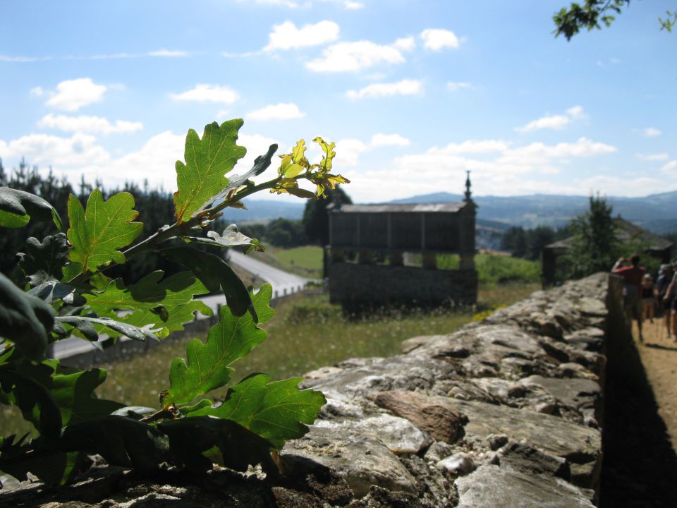 OD CELJA DO ATLANTIKA - ŠPANIJA - CAMINO 14 - foto povečava