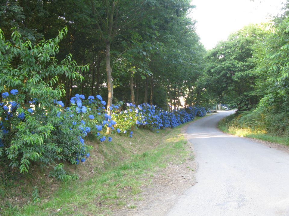 OD CELJA DO ATLANTIKA - ŠPANIJA - CAMINO 14 - foto povečava