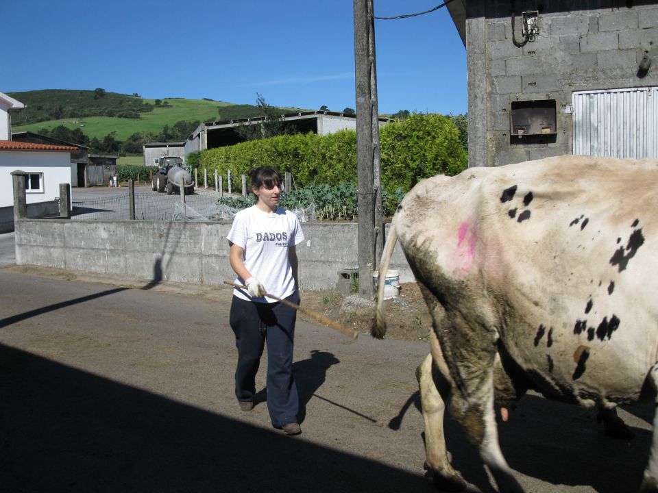 OD CELJA DO ATLANTIKA - ŠPANIJA - CAMINO 16 - foto povečava
