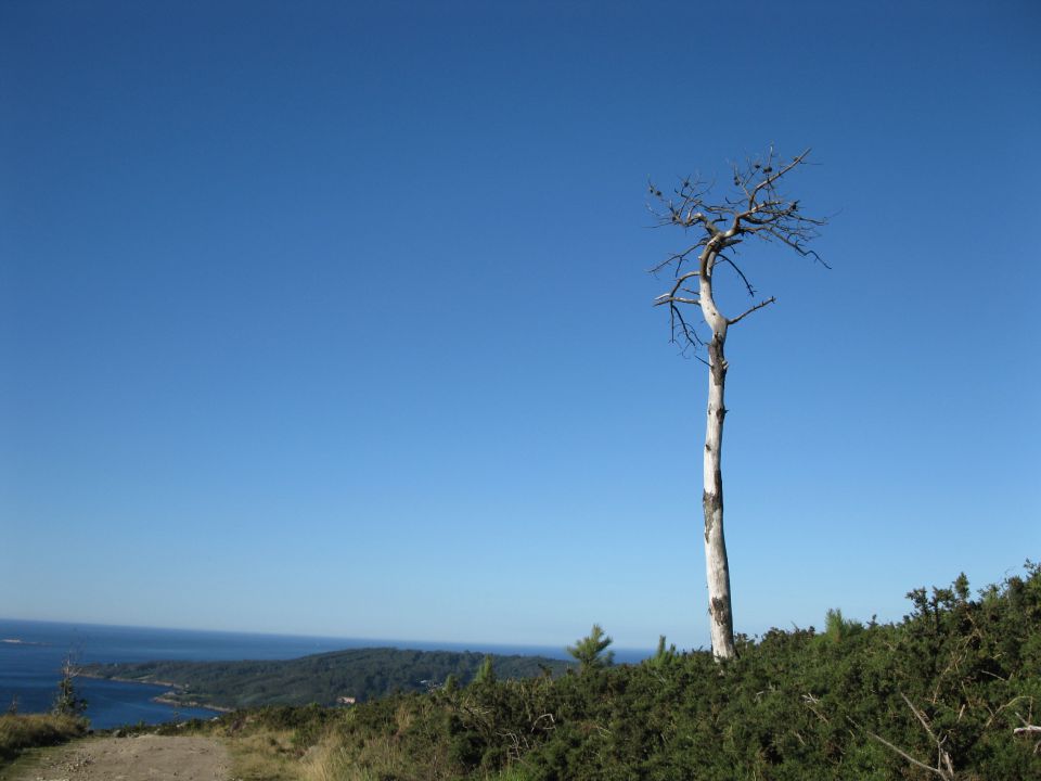 OD CELJA DO ATLANTIKA - ŠPANIJA - CAMINO 16 - foto povečava