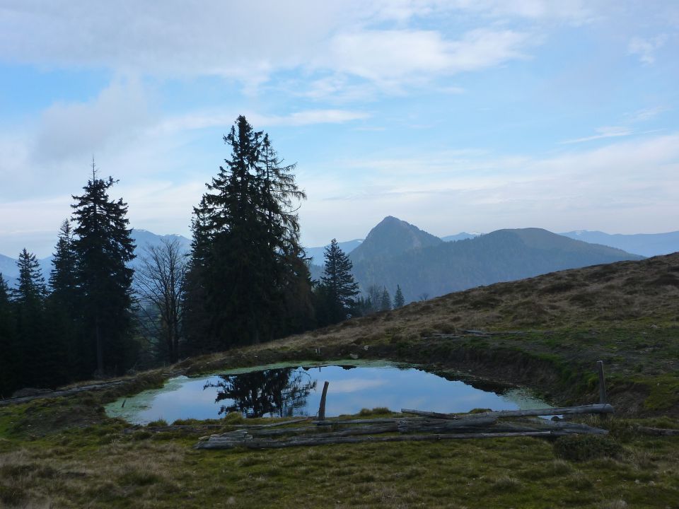 VODNIKI - KRANJSKA REBER 23.10.2010 - foto povečava