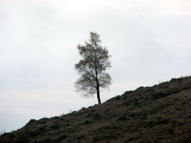 VODNIKI - KRANJSKA REBER 23.10.2010 - foto