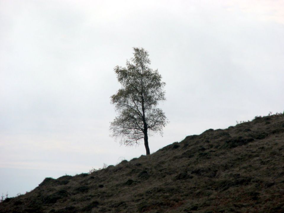 VODNIKI - KRANJSKA REBER 23.10.2010 - foto povečava