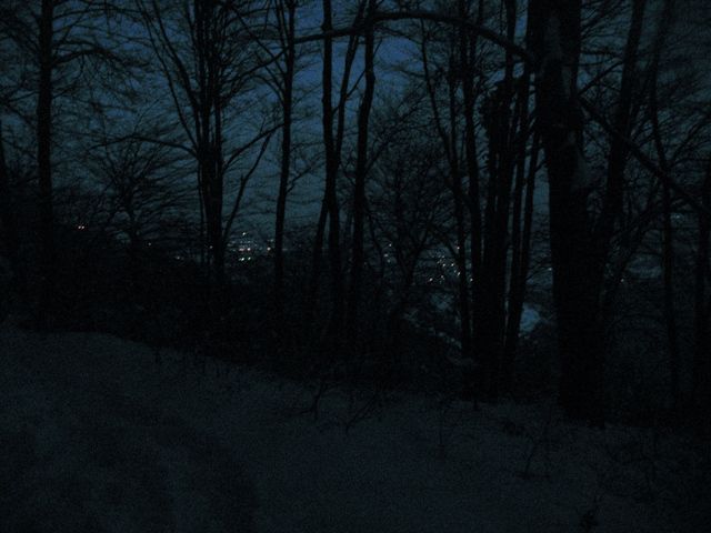 Lintverni-Planina-nočni pohod 18.12.2010 - foto povečava