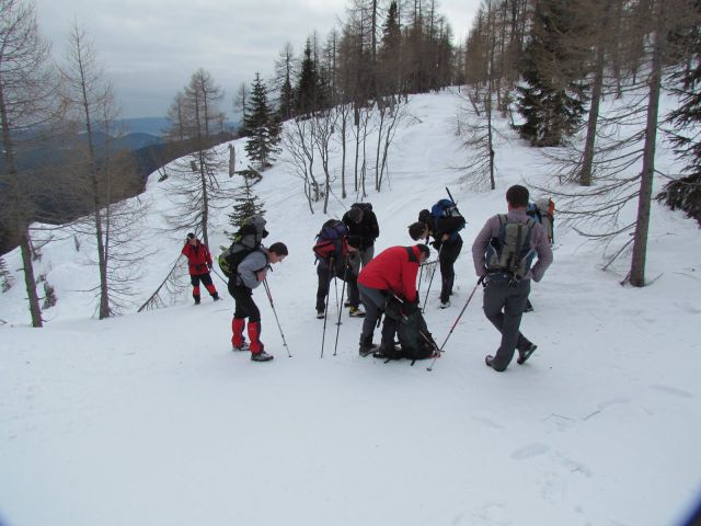 VODNIKI - VIŠEVNIK IN M. DRAŠKI VRH 26.2.2011 - foto