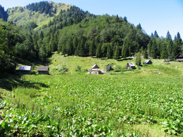 Opuščena planina za Črno goro