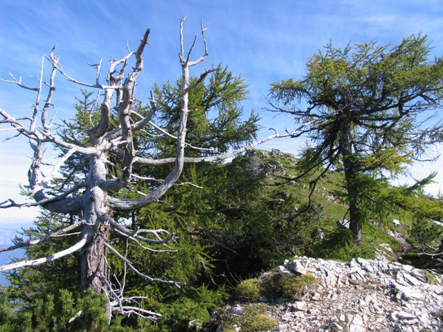 Slemenova špica in Vršič 22.9.2012 - foto