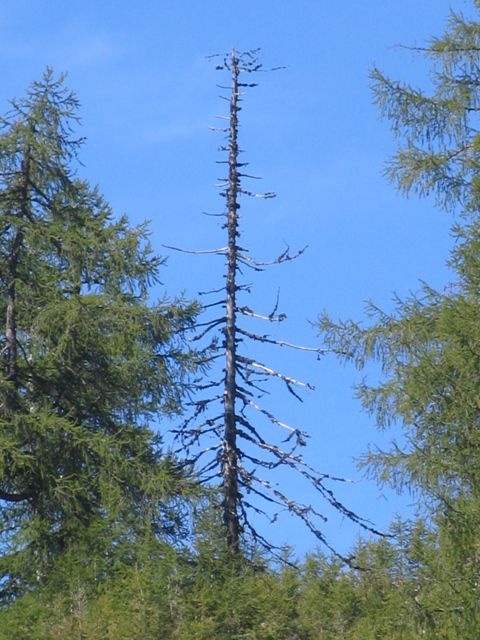 Slemenova špica in Vršič 22.9.2012 - foto