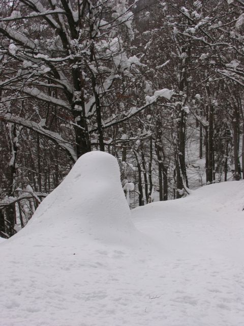 Snežni Melhir ali monolit ob poti