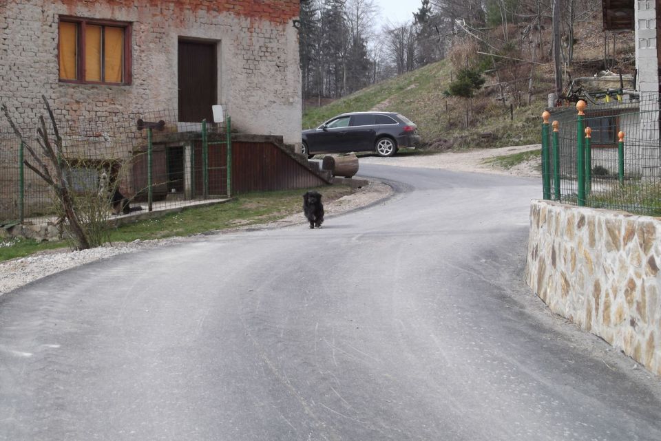 Gora Oljka 15.3.2014-Bojan - foto povečava