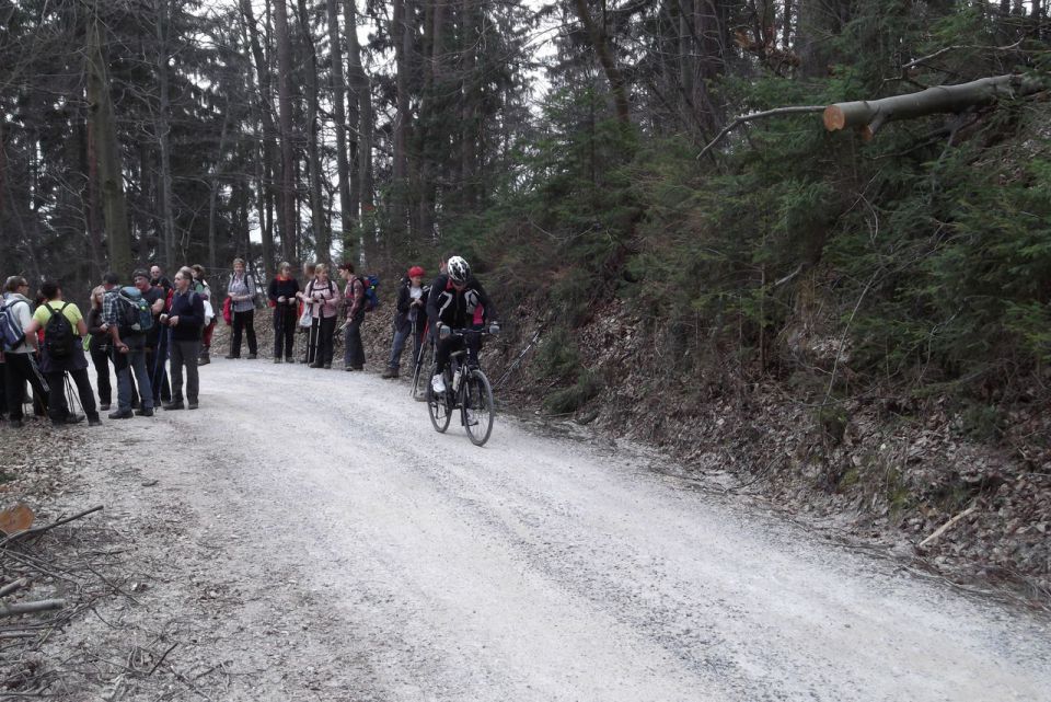 Gora Oljka 15.3.2014-Bojan - foto povečava