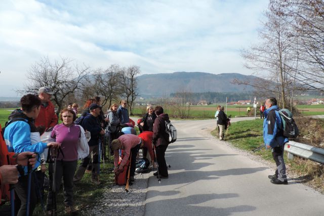 Gora Oljka 15.3.2014-Maja - foto