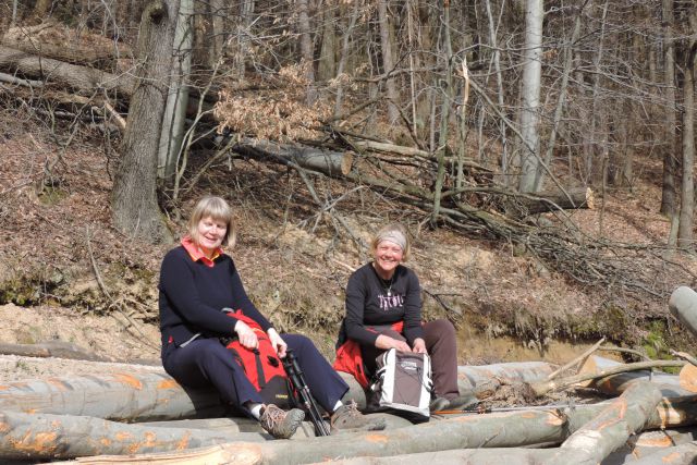 Gora Oljka 15.3.2014-Maja - foto