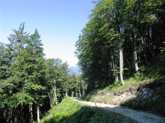 Belska planina 2.7.2015 - foto