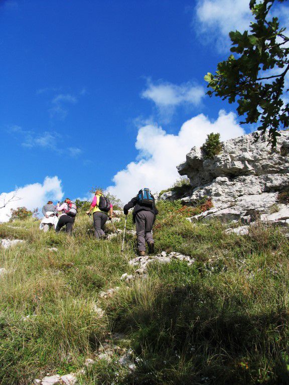 Sočerga 17.10.2015-5 Cekinčkov - foto povečava