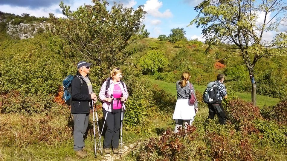 Sočerga 17.10.2015-5 Cekinčkov - foto povečava