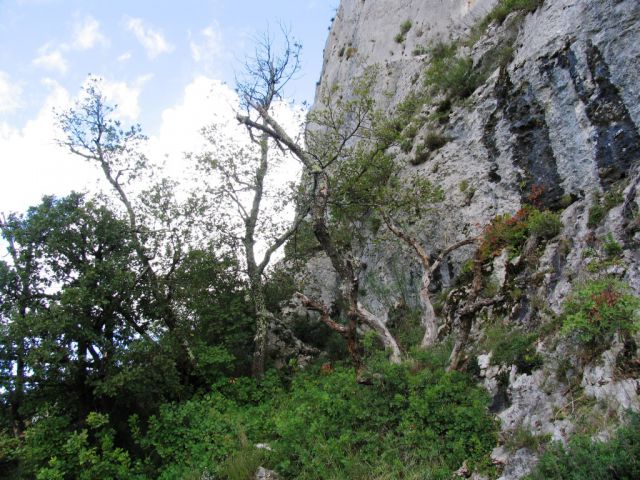 Sočerga 17.10.2015-5 Cekinčkov - foto
