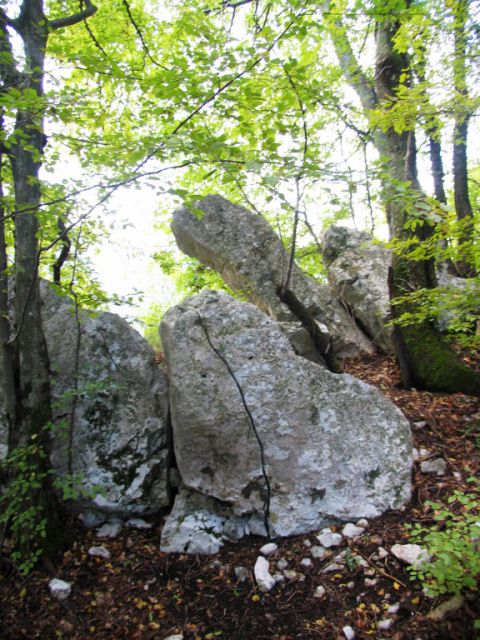 Sočerga 17.10.2015-5 Cekinčkov - foto