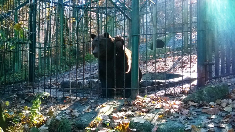 Kajndol-Vrzdenec 3.11.2015-Vandrovke - foto povečava