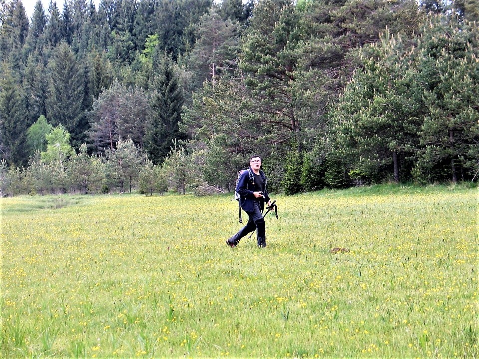 Krpanova pot 21.5.2017-Lintverni - foto povečava