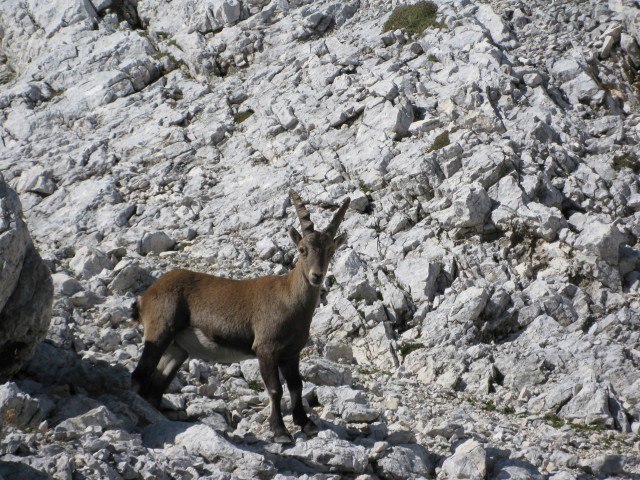 Triglav 2017-Lintverni - foto