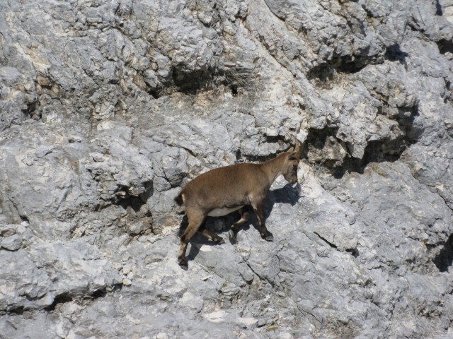 Triglav 2017-Lintverni - foto