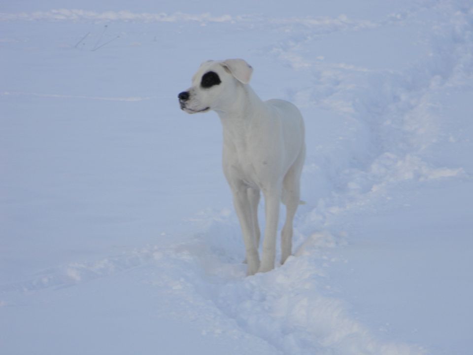 Zima 2010 - foto povečava