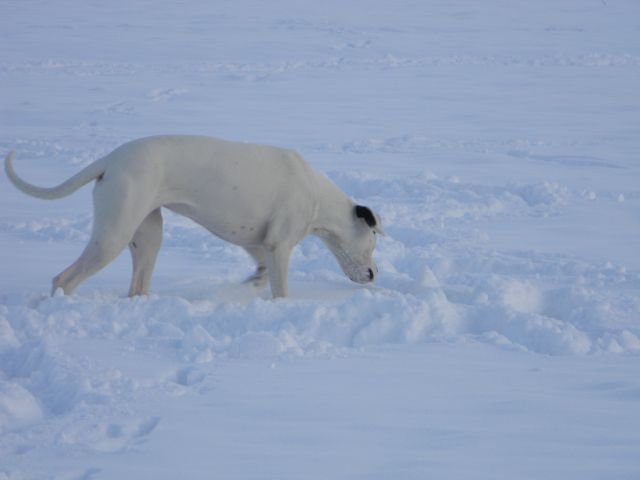 Zima 2010 - foto