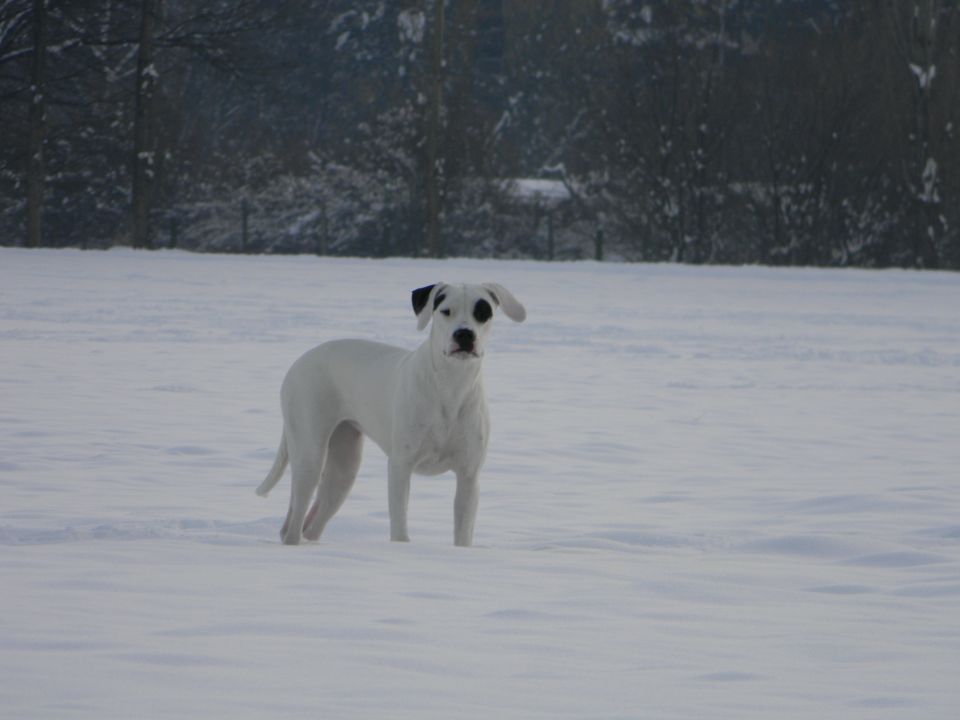 Zima 2010 - foto povečava