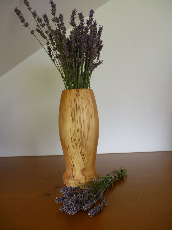 Vaza breza-mačica - foto povečava