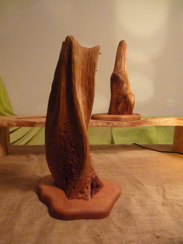 Unikatne lesene skulpture - foto povečava