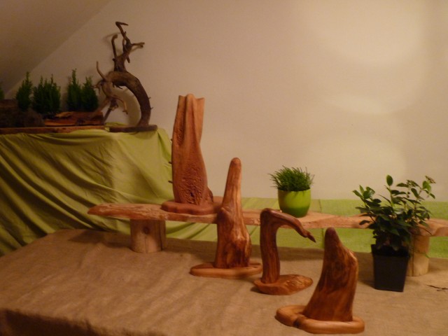 Unikatne lesene skulpture - foto