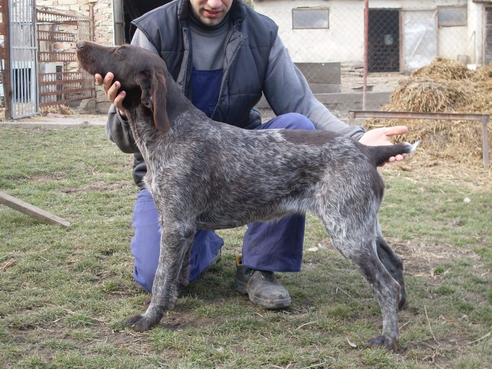 Lov - foto povečava