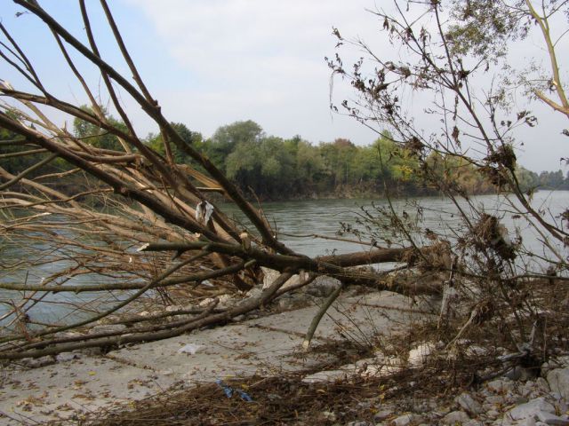 Obržanc - obala save po poplavi - foto